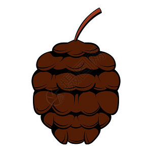 雪松适量卡通松果矢量插图插画