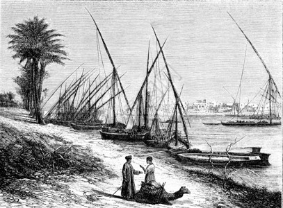 埃及Bulaq1873年的MagasinPittoresque图片