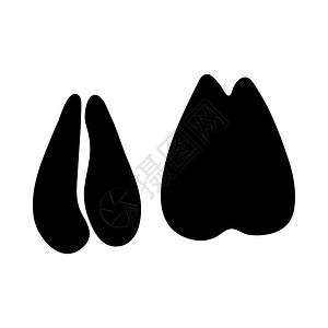 Saiga脚印黑色硅粉设计矢量说明图片
