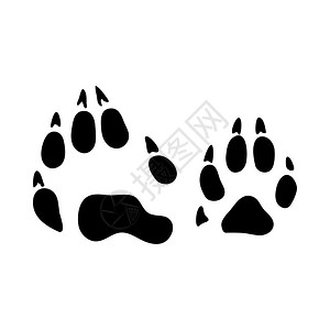 白色脚印浣熊脚印黑色硅粉设计矢量说明背景