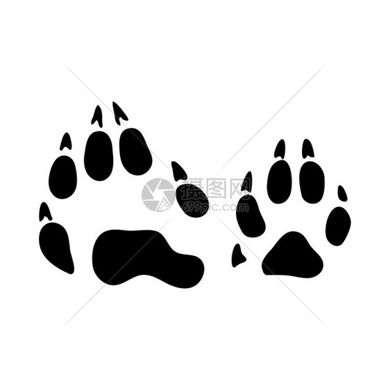 浣熊脚印黑色硅粉设计矢量说明图片