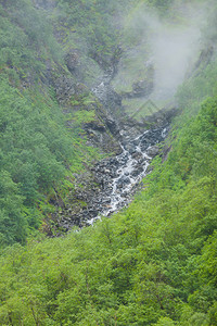 挪威远足区夏季风景优美的山地观由雾的雨天形成挪威雾的山地景观图片