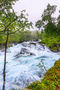 挪威Aurlandsfjellet山沿Aurlandsfjellet山的小型桥梁和瀑布暴水河SognogFjordane大雾的寒图片