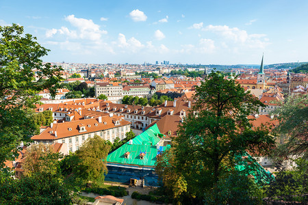 布拉格大教堂和上面红色屋顶的视图图片