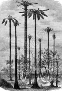 原始世界的景观187年的马加辛皮托罗克图片