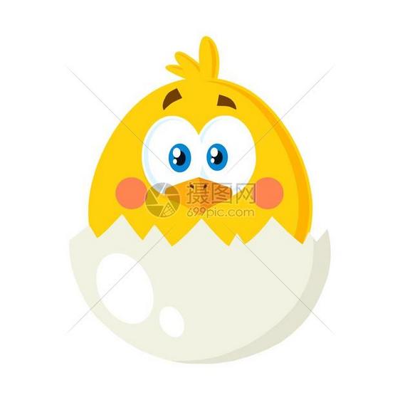 蛋壳里的黄色小鸡图片