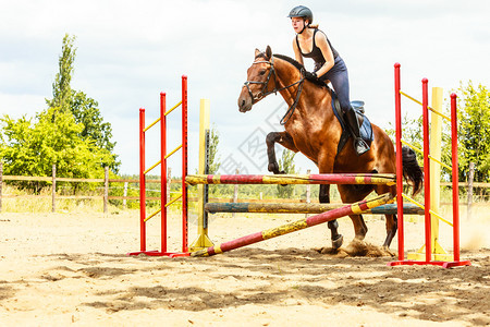 年轻的女骑马师培训马跳过围栏图片