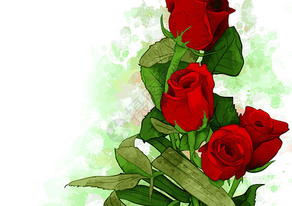 手绘红玫瑰图片