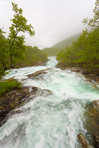 挪威Aurlandsfjellet山沿岸的瀑布暴水河SognogFjordane雾的夏季日挪威Aurlandsfjellet沿岸图片