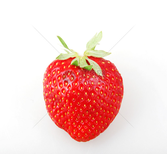 白背景的草莓花园图片