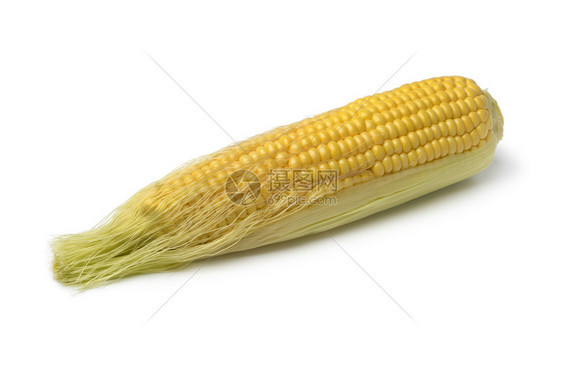 玉米和丝的和丝孤立在白色背景上图片