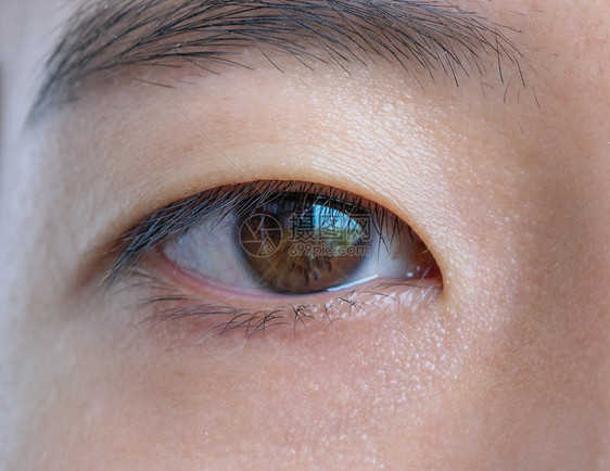 亚洲女眼睛的近距离暗棕色眼睛的纹理可见宏细节图片