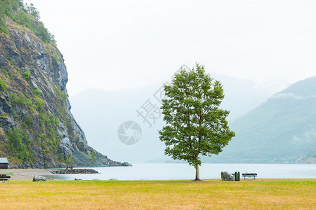 在欧洲弗拉姆挪威Fjord山附近的平面板和长凳雾日挪威fjord附近的平面板和长凳挪威Fjord附近的平面板和长椅图片