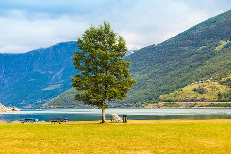 在欧洲弗拉姆挪威Fjord附近的Picnic现场木制桌和长椅图片