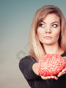 女性生殖器解剖图解女思考和持有假大脑背景