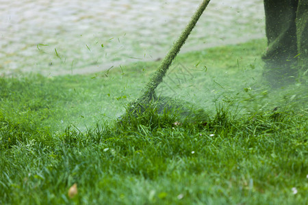 使用灌木机种植绿草季节园林清洁器物体概念使用灌木机种植绿草图片