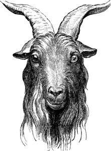 山羊刻着古代的插图地球比人类先于186年插画
