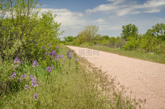 内布拉斯加州北部的多用途娱乐牛仔跑道春景有野花图片