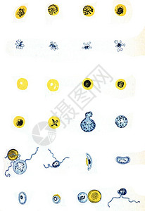 照亮不同形式的疟疾生物及其发育阶段刻有古老的插图图片