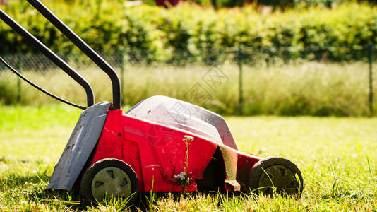 园艺服务旧割草机在后院砍伐绿草场阳光明媚的日间用割草机修剪场用坪修剪用割机修剪坪图片