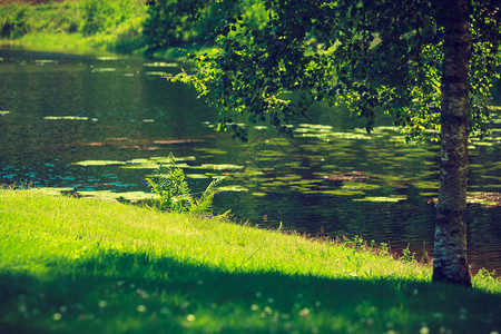 大自然的美丽旅行概念春天气时在绿公园的池塘湖图片