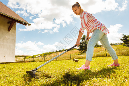 妇女使用雷克脱落的叶子照顾花园家庭院子草场的人农业园艺设备概念妇女脱落的叶子图片