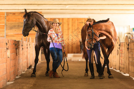 牛仔帽女和骑马的匹骑图片