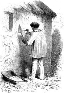 传教士和泥瓦匠世界之旅行日报1865年图片