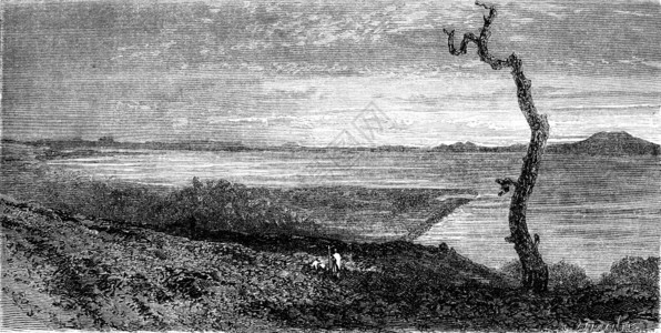 塔纳湖世界之旅行日报1865年图片