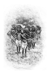 Bayard根据SerpaPinto的草图绘制Bayard图画南部非洲安哥拉女童携带篮子部队世界旅游行日报18年图片