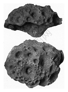 形成德文恰赫林低晶状岩质聚居地的珊瑚古代刻画图来自宇宙和人类190年图片