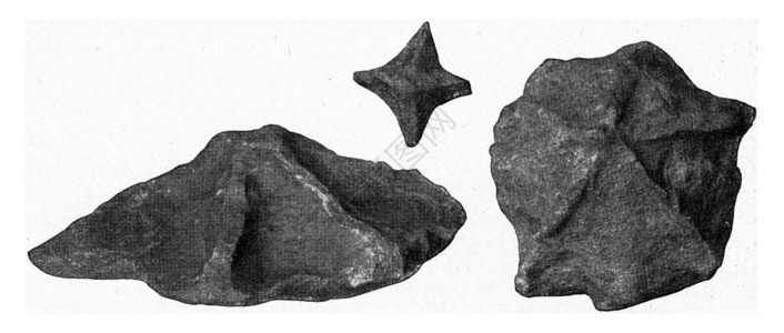 瑞典下坎布里安山沙石上的水母自然铸造物刻有古老的插图190年宇宙与人类图片