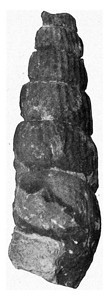 土利石古代雕刻的插图190年从宇宙和人类那里得到的图片