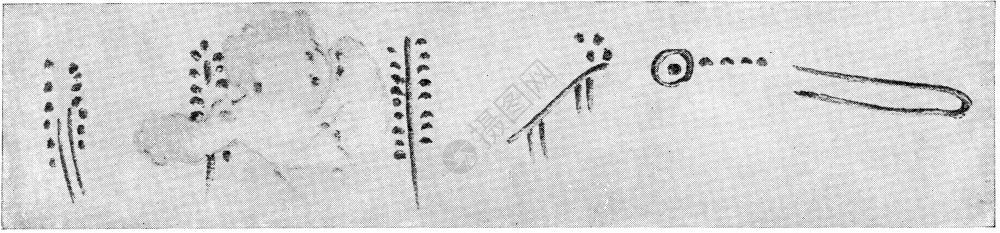 190年宇宙与人类中图片