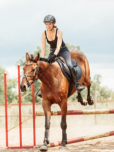 活跃的女骑马师培训马跳过围栏术比赛和活动骑马女师培训运动活图片
