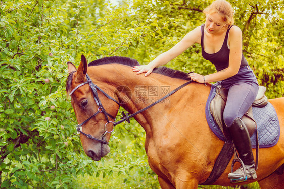 骑马的动物理念坐在上踩边缘的年轻女骑马和的年轻女图片