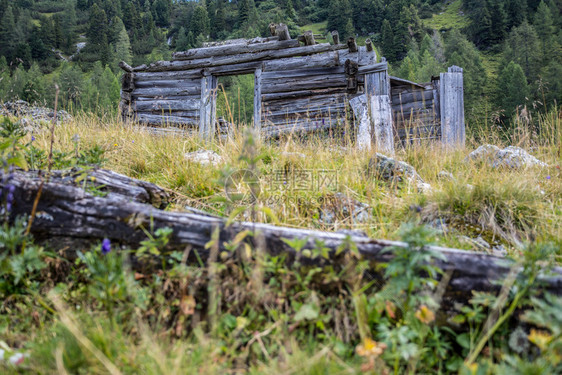 奥地利一座小屋的废墟阿尔卑斯山的自然景观图片