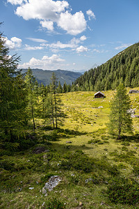 阿尔卑斯山景观草地森林山区和蓝天图片