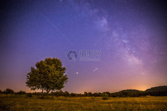 美丽的夜景有星草地和一棵树温暖的紫色图片