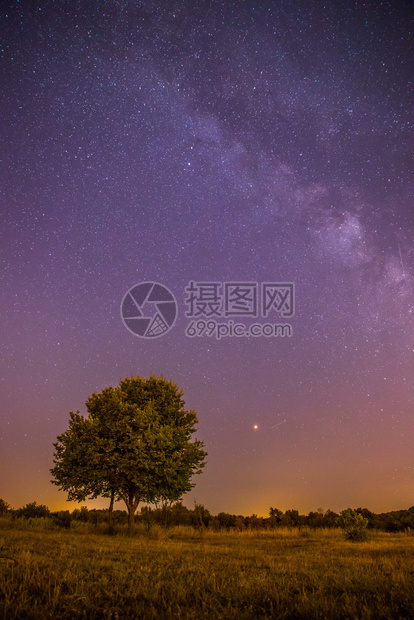 美丽的夜景有星草地和一棵树温暖的紫色图片