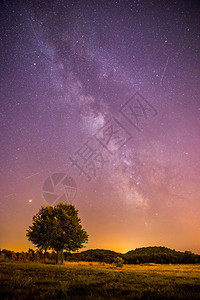 美丽的夜景有星草地和一棵树温暖的紫色图片