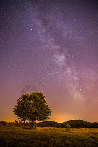 美丽的夜景有星草地和一棵树温暖的紫色图片