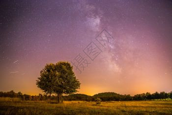 美丽的夜景有星草地和一棵树温暖的紫色图片