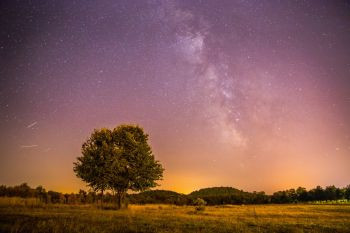 美丽的夜景有星草地和一棵树温暖的紫色图片