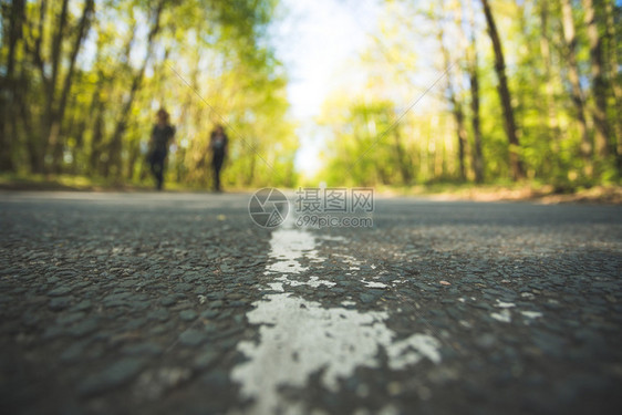 森林中的石灰街道近距离模糊背景图片