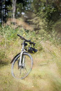 自行车巡游草和木头户外文字空间图片