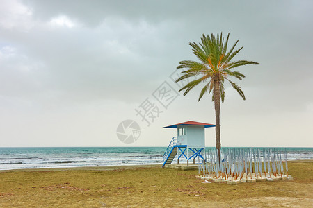 Mackenzie海滩有棕榈树和救生塔塞浦路斯拉纳卡图片