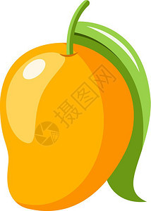 黄色芒果矢量元素插图图片