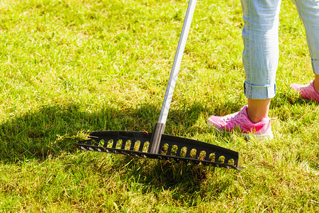 种植园成年女在后院用雷克工具放牧绿草妇女利用雷克清理花园草坪图片