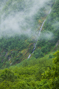 山上瀑布雾雨日美丽的绿色夏季风景旅行和游山地雾日挪威的瀑布图片